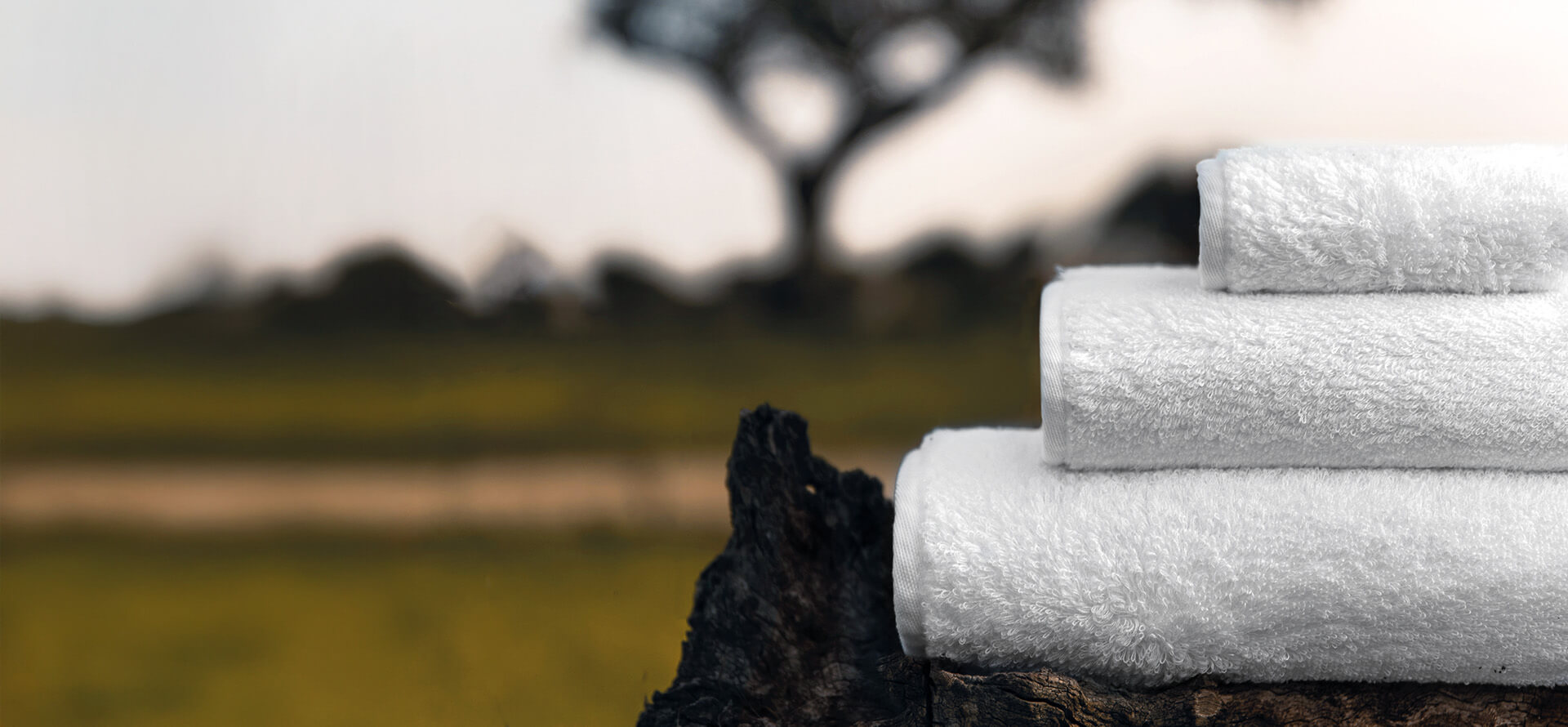 DESCUBRA A INOVAÇÃO