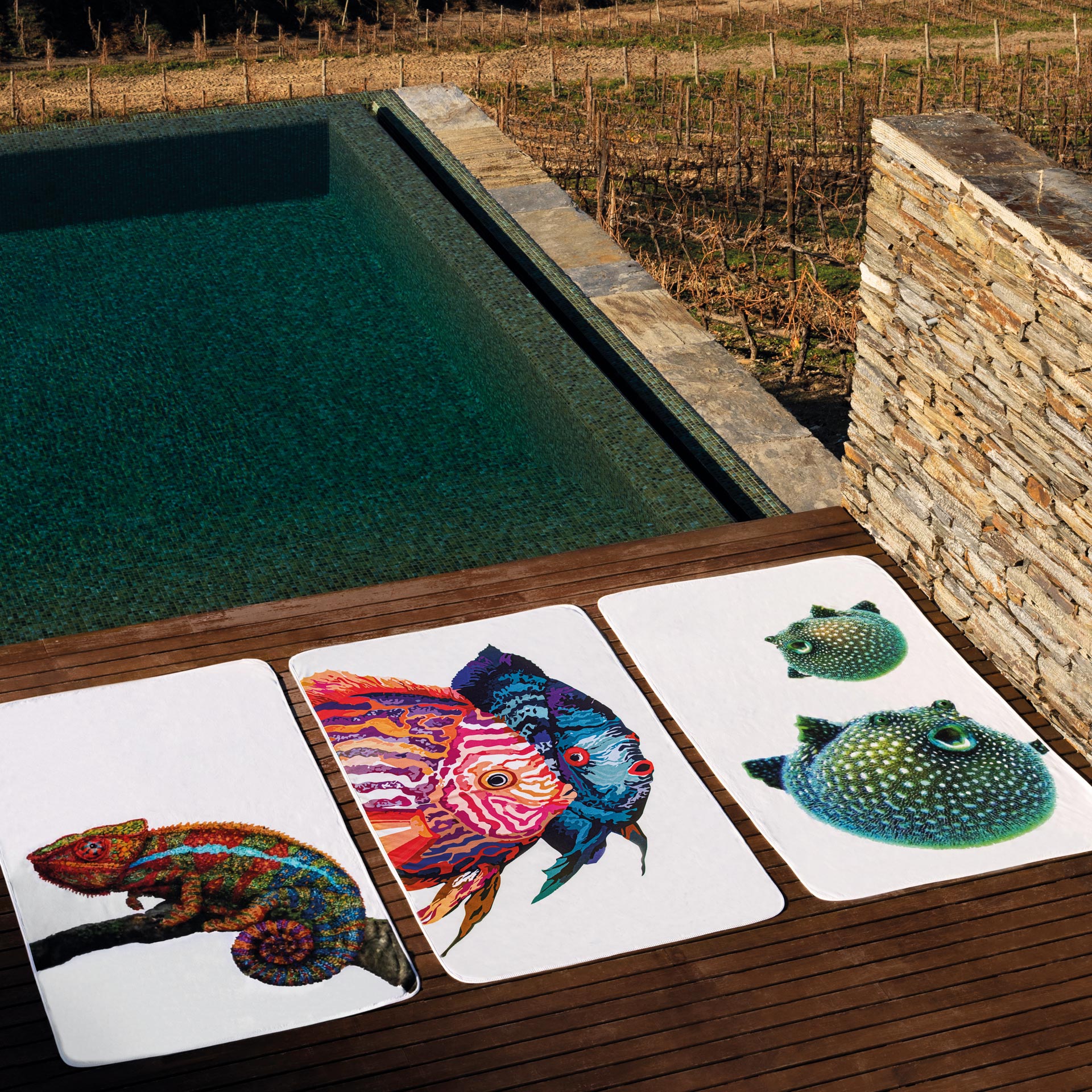 BALLOON FISH BEACH TOWEL