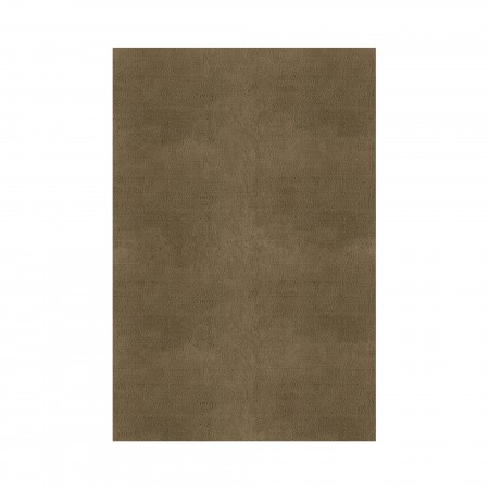 PLAIN AREA RUG PLAIN AREA RUG