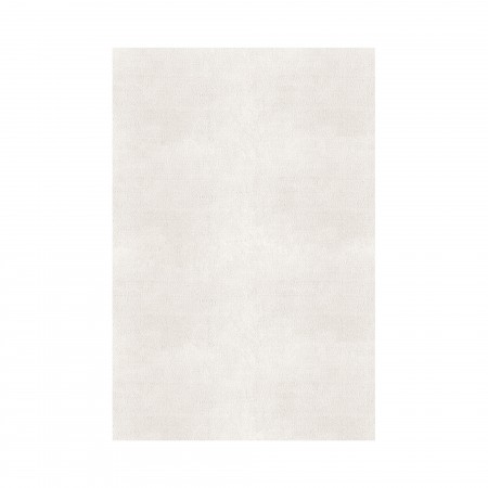 PLAIN AREA RUG PLAIN AREA RUG