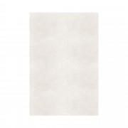 PLAIN AREA RUG PLAIN AREA RUG