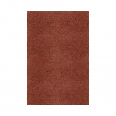 PLAIN AREA RUG PLAIN AREA RUG