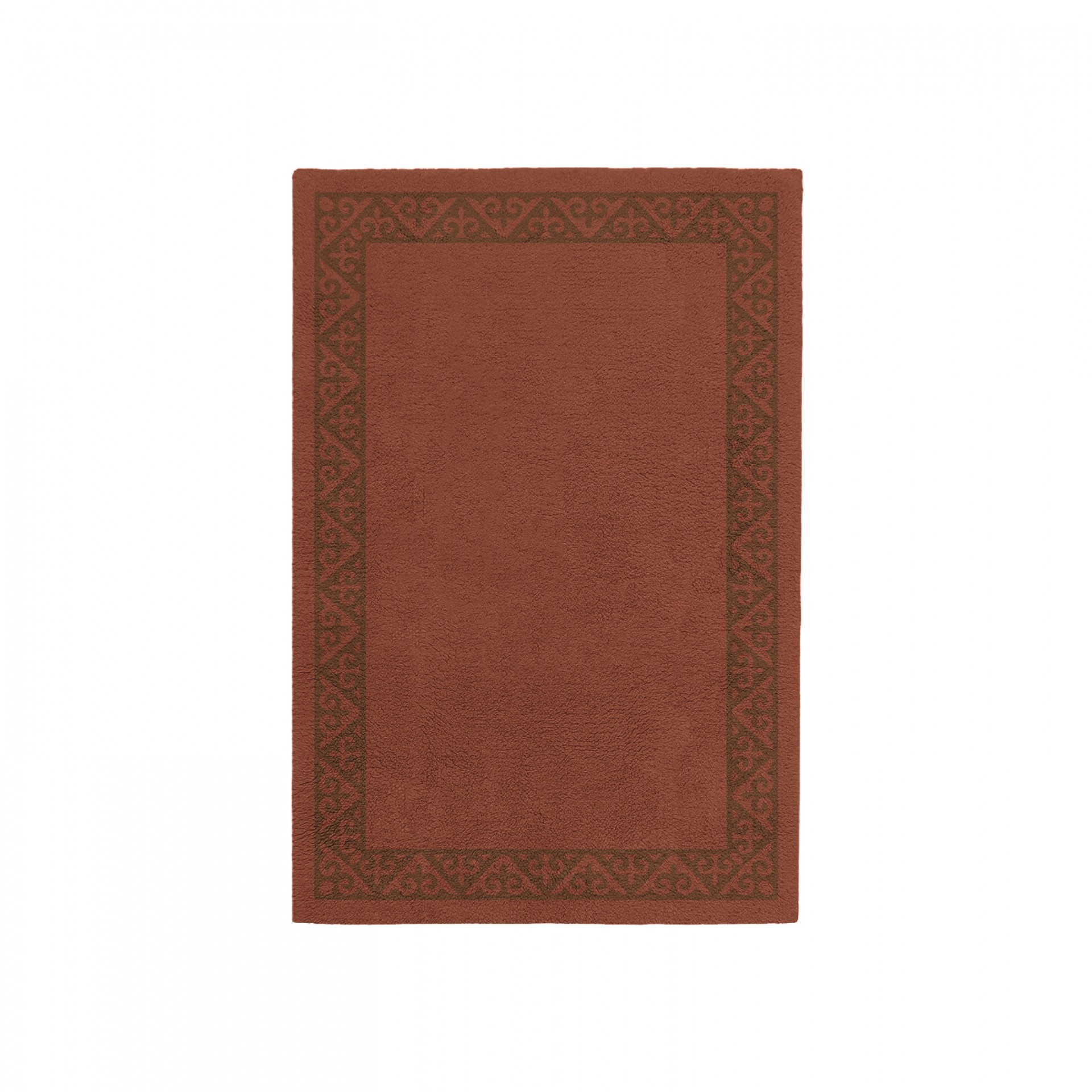 SPLENDOR BRICK AREA RUG